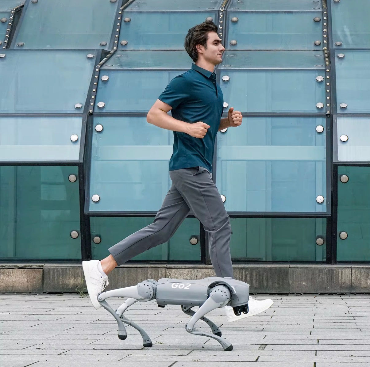 Go2 Air Pro – Le robot chien bionique nouvelle génération